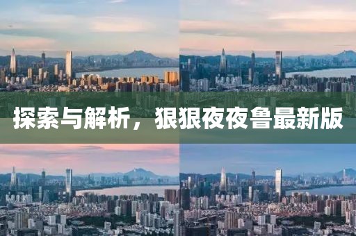 探索与解析，狠狠夜夜鲁最新版