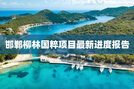 邯郸柳林国粹项目最新进度报告