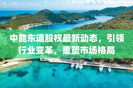 中能东道股权最新动态，引领行业变革，重塑市场格局