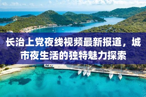 长治上党夜线视频最新报道，城市夜生活的独特魅力探索