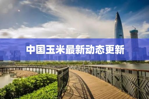 中国玉米最新动态更新