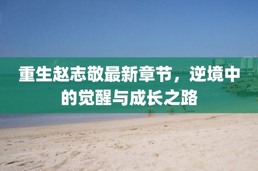 重生赵志敬最新章节，逆境中的觉醒与成长之路