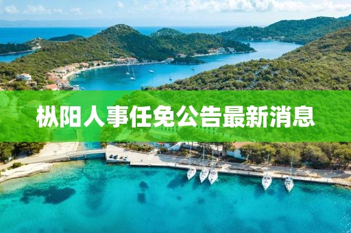 枞阳人事任免公告最新消息