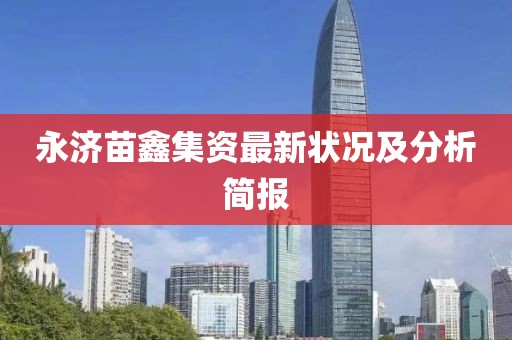 永济苗鑫集资最新状况及分析简报