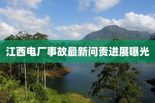 江西电厂事故最新问责进展曝光