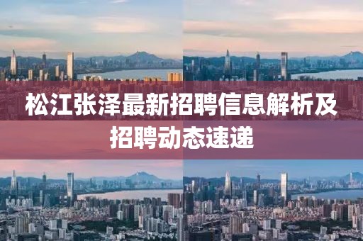 松江张泽最新招聘信息解析及招聘动态速递