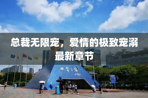 总裁无限宠，爱情的极致宠溺最新章节