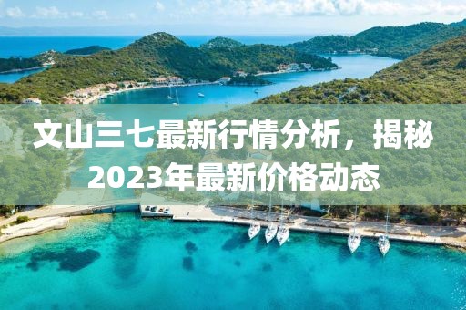文山三七最新行情分析，揭秘2023年最新价格动态