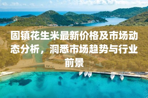 固镇花生米最新价格及市场动态分析，洞悉市场趋势与行业前景