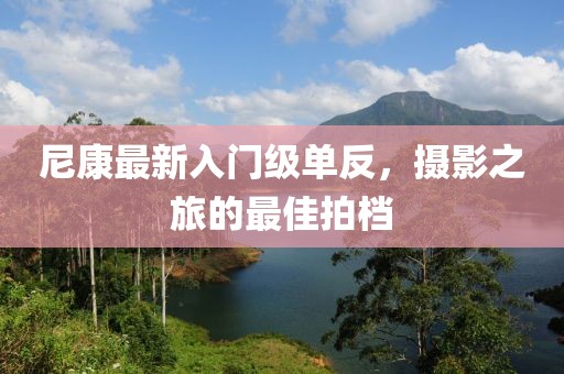 尼康最新入门级单反，摄影之旅的最佳拍档