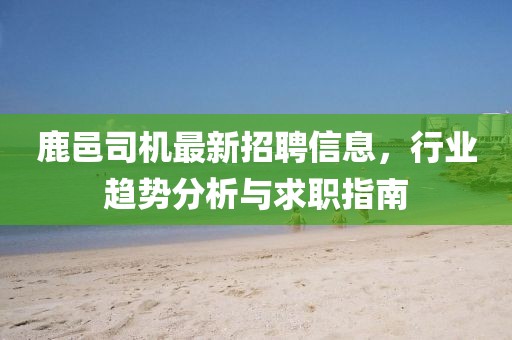 鹿邑司机最新招聘信息，行业趋势分析与求职指南