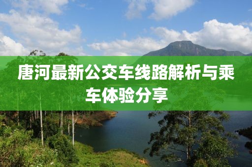 唐河最新公交车线路解析与乘车体验分享