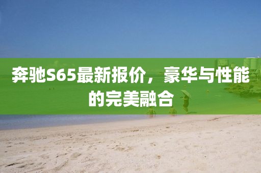 奔驰S65最新报价，豪华与性能的完美融合