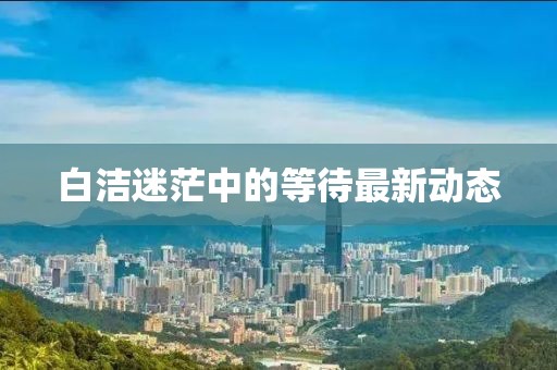 白洁迷茫中的等待最新动态