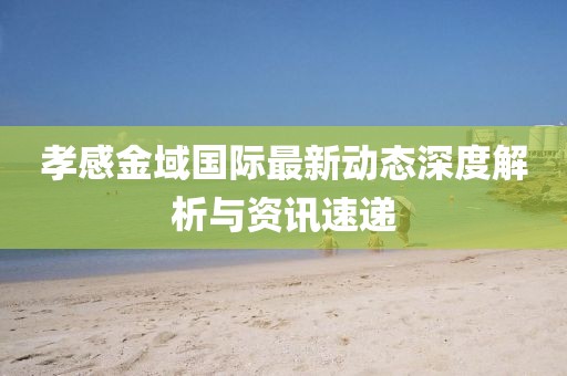 孝感金域国际最新动态深度解析与资讯速递