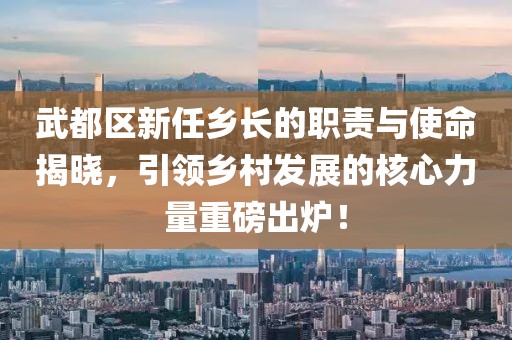 武都区新任乡长的职责与使命揭晓，引领乡村发展的核心力量重磅出炉！