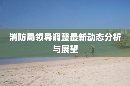 消防局领导调整最新动态分析与展望
