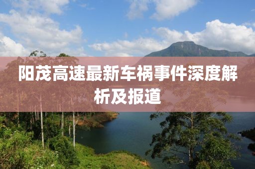 阳茂高速最新车祸事件深度解析及报道