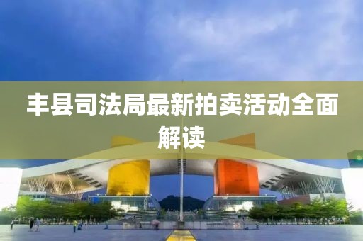 丰县司法局最新拍卖活动全面解读