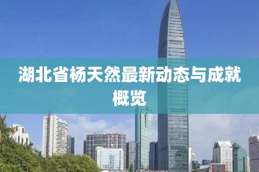 湖北省杨天然最新动态与成就概览