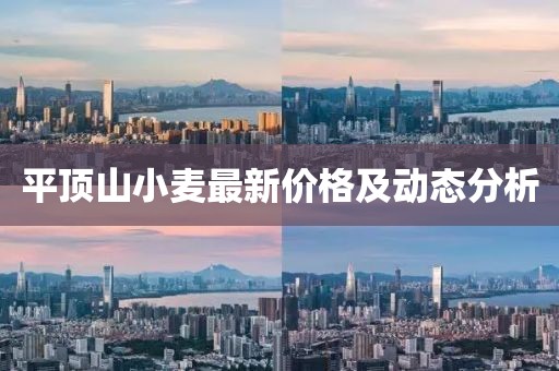 平顶山小麦最新价格及动态分析