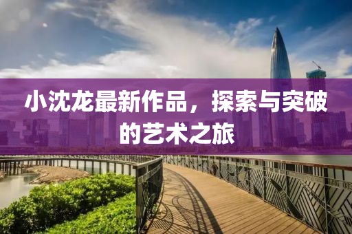小沈龙最新作品，探索与突破的艺术之旅