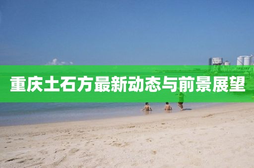 重庆土石方最新动态与前景展望