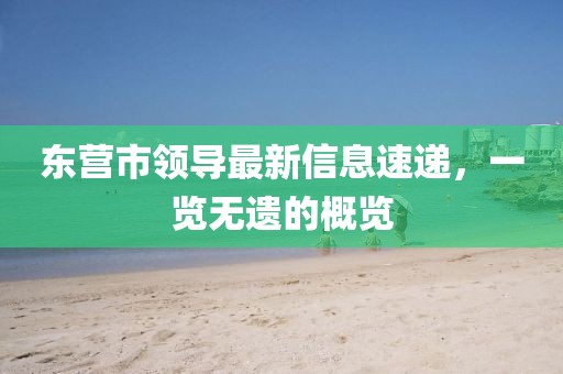 东营市领导最新信息速递，一览无遗的概览