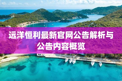 远洋恒利最新官网公告解析与公告内容概览
