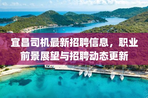 宜昌司机最新招聘信息，职业前景展望与招聘动态更新