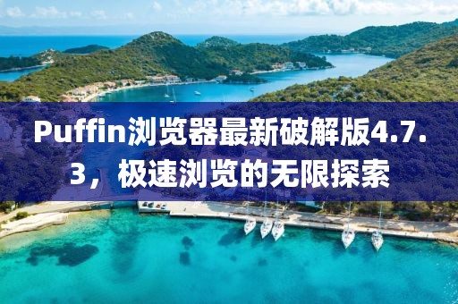 Puffin浏览器最新破解版4.7.3，极速浏览的无限探索
