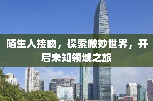 陌生人接吻，探索微妙世界，开启未知领域之旅