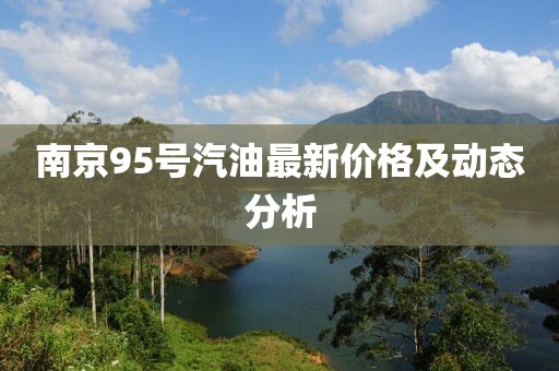 南京95号汽油最新价格及动态分析