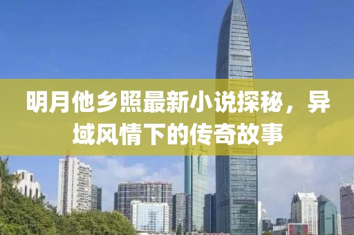 明月他乡照最新小说探秘，异域风情下的传奇故事