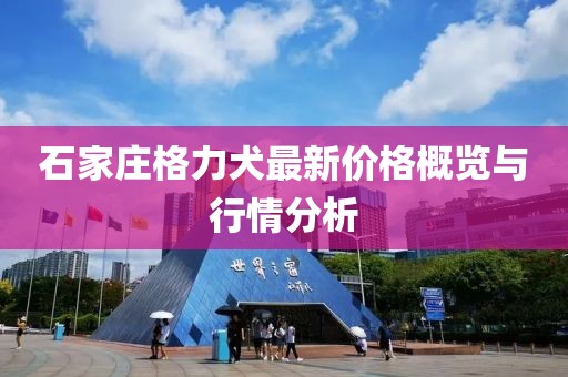 石家庄格力犬最新价格概览与行情分析