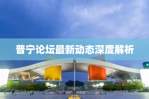 普宁论坛最新动态深度解析