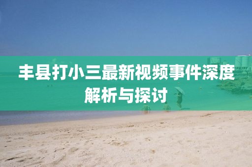 丰县打小三最新视频事件深度解析与探讨