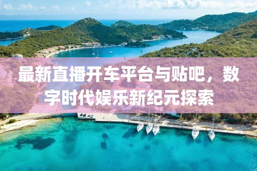 最新直播开车平台与贴吧，数字时代娱乐新纪元探索