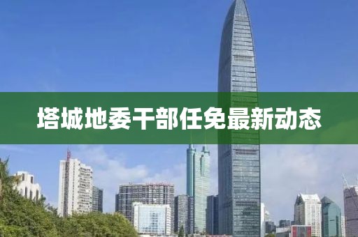 塔城地委干部任免最新动态