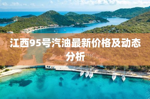 江西95号汽油最新价格及动态分析