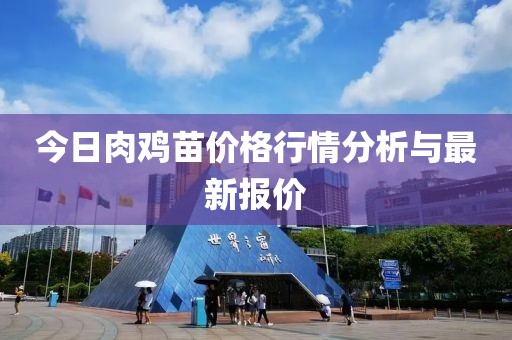 今日肉鸡苗价格行情分析与最新报价