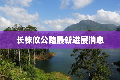 长株攸公路最新进展消息