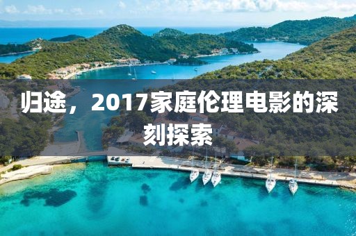归途，2017家庭伦理电影的深刻探索
