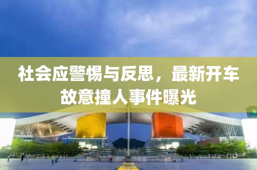 社会应警惕与反思，最新开车故意撞人事件曝光
