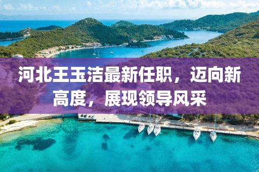 河北王玉洁最新任职，迈向新高度，展现领导风采