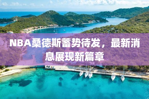 NBA桑德斯蓄势待发，最新消息展现新篇章