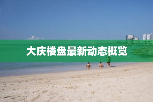 大庆楼盘最新动态概览