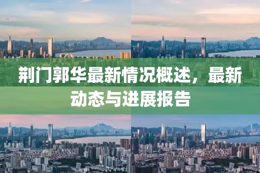 荆门郭华最新情况概述，最新动态与进展报告