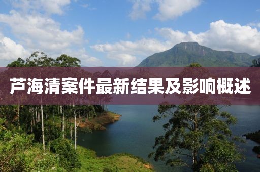 芦海清案件最新结果及影响概述