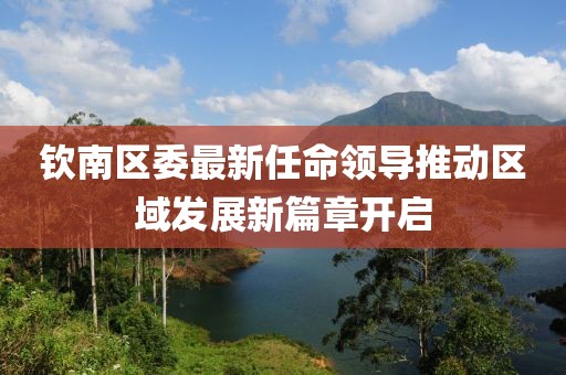 钦南区委最新任命领导推动区域发展新篇章开启